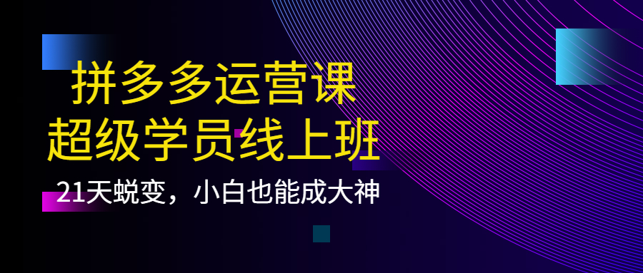 拼多多运营课：超级学员线上班，21天蜕变，小白也能成大神安创网-网创项目资源站-副业项目-创业项目-搞钱项目安创网