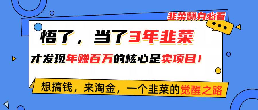 悟了，当了3年韭菜，才发现网赚圈年赚100万的核心是卖项目，含泪分享！安创网-网创项目资源站-副业项目-创业项目-搞钱项目安创网