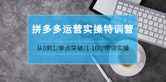 拼多多运营实操特训营：从0到1/单点突破/1-100/带领实操 价值2980元安创网-网创项目资源站-副业项目-创业项目-搞钱项目安创网
