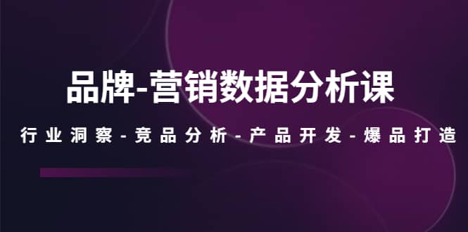 品牌-营销数据分析课，行业洞察-竞品分析-产品开发-爆品打造安创网-网创项目资源站-副业项目-创业项目-搞钱项目安创网