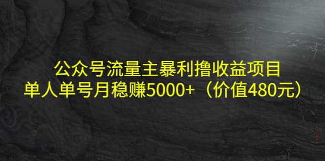 公众号流量主暴利撸收益项目，单人单号月稳赚5000+（价值480元）安创网-网创项目资源站-副业项目-创业项目-搞钱项目安创网
