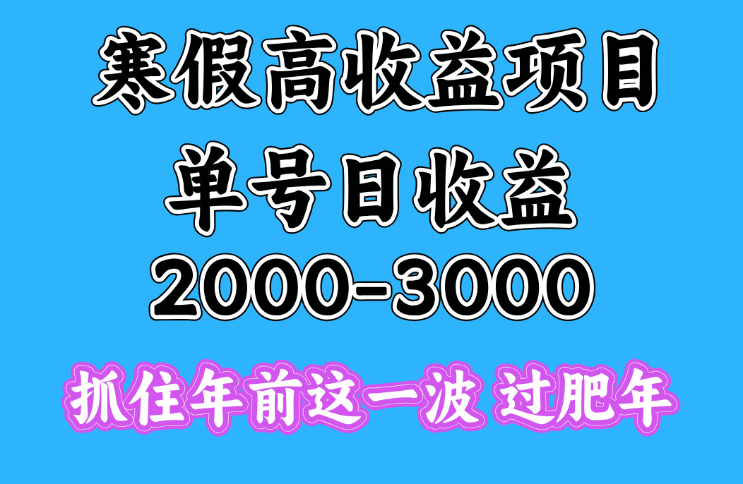 寒假期间一天收益2000-3000+，抓住年前这一波安创网-网创项目资源站-副业项目-创业项目-搞钱项目安创网