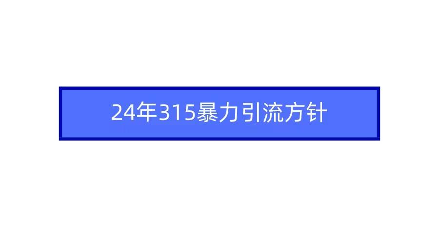2024年315暴力引流方针安创网-网创项目资源站-副业项目-创业项目-搞钱项目安创网
