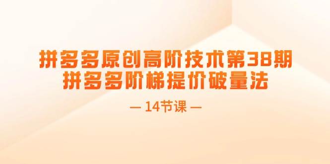拼多多原创高阶技术第38期，拼多多阶梯提价破量法（14节课）安创网-网创项目资源站-副业项目-创业项目-搞钱项目安创网
