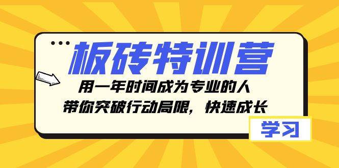 板砖特训营，用一年时间成为专业的人，带你突破行动局限，快速成长安创网-网创项目资源站-副业项目-创业项目-搞钱项目安创网