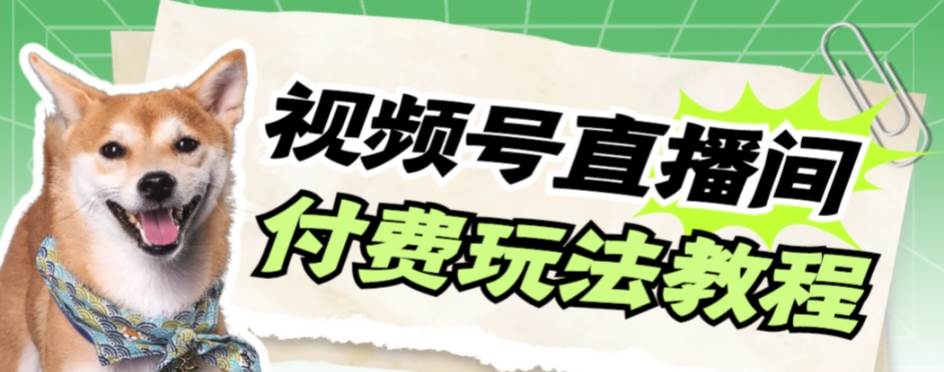 视频号美女付费无人直播，轻松日入500+【详细玩安创网-网创项目资源站-副业项目-创业项目-搞钱项目安创网