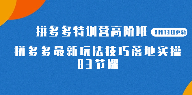 2023拼多多·特训营高阶班【9月13日更新】拼多多最新玩法技巧落地实操-83节安创网-网创项目资源站-副业项目-创业项目-搞钱项目安创网
