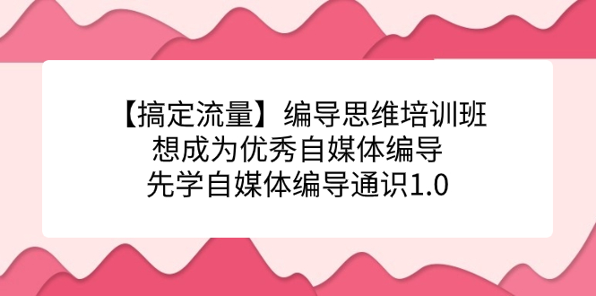 【搞定流量】编导思维培训班，想成为优秀自媒体编导先学自媒体编导通识1.0安创网-网创项目资源站-副业项目-创业项目-搞钱项目安创网