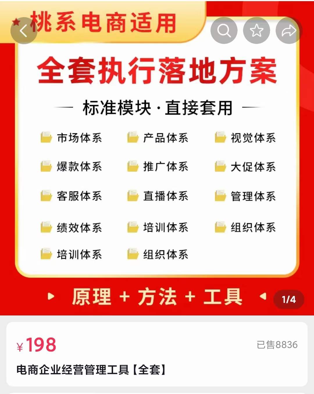 外面卖198·电商企业经营管理工具：全套执行落地方案 标准模块·直接套用安创网-网创项目资源站-副业项目-创业项目-搞钱项目安创网
