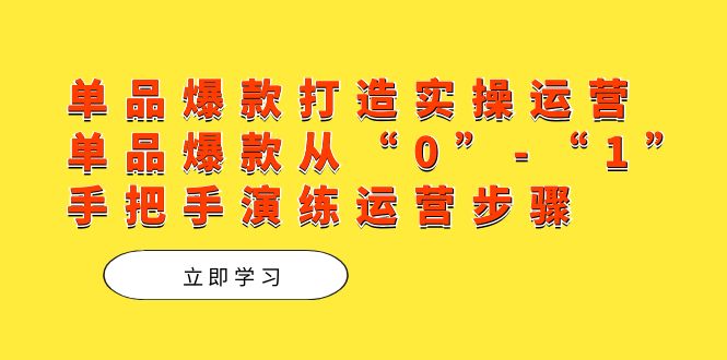 单品爆款打造实操运营，单品爆款从“0”-“1”手把手演练运营步骤安创网-网创项目资源站-副业项目-创业项目-搞钱项目安创网