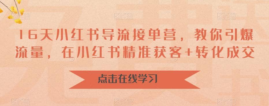 16天-小红书 导流接单营，教你引爆流量，在小红书精准获客+转化成交安创网-网创项目资源站-副业项目-创业项目-搞钱项目安创网