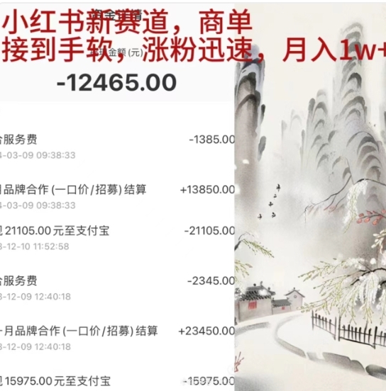 小红书新赛道，商单接到手软，涨粉迅速，一个月1w+安创网-网创项目资源站-副业项目-创业项目-搞钱项目安创网