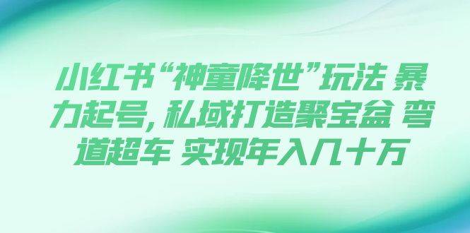 小红书“神童降世”玩法 暴力起号,私域打造聚宝盆 弯道超车 实现年入几十万安创网-网创项目资源站-副业项目-创业项目-搞钱项目安创网