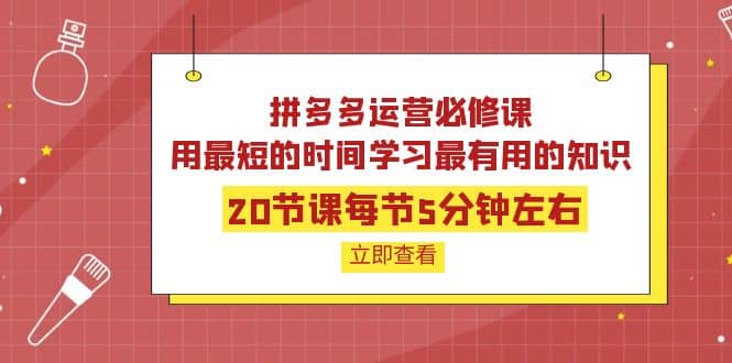 拼多多运营必修课：20节课每节5分钟左右，用最短的时间学习最有用的知识安创网-网创项目资源站-副业项目-创业项目-搞钱项目安创网