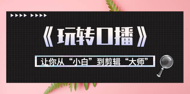 月营业额700万+大佬教您《玩转口播》让你从“小白”到剪辑“大师”安创网-网创项目资源站-副业项目-创业项目-搞钱项目安创网