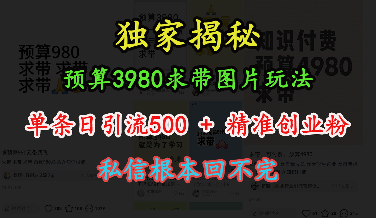 “小红书”预算3980求带 图片玩法，单条日引流500+精准创业粉，私信根本回不完安创网-网创项目资源站-副业项目-创业项目-搞钱项目安创网