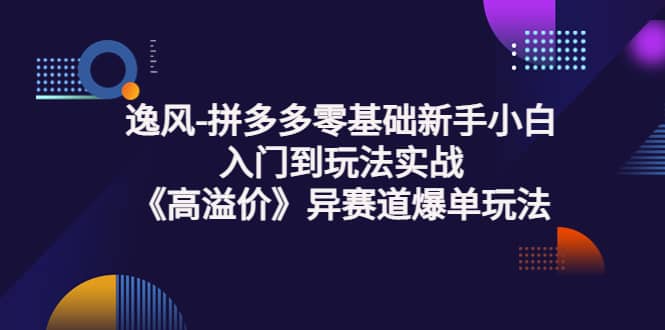拼多多零基础新手小白入门到玩法实战《高溢价》异赛道爆单玩法实操课安创网-网创项目资源站-副业项目-创业项目-搞钱项目安创网