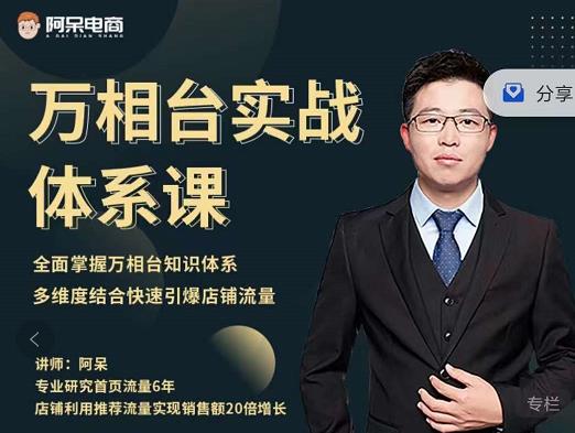 阿呆-万相台实战体系课，帮您全面掌握万相台知识体系安创网-网创项目资源站-副业项目-创业项目-搞钱项目安创网
