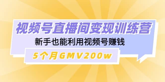 视频号直播间变现训练营安创网-网创项目资源站-副业项目-创业项目-搞钱项目安创网