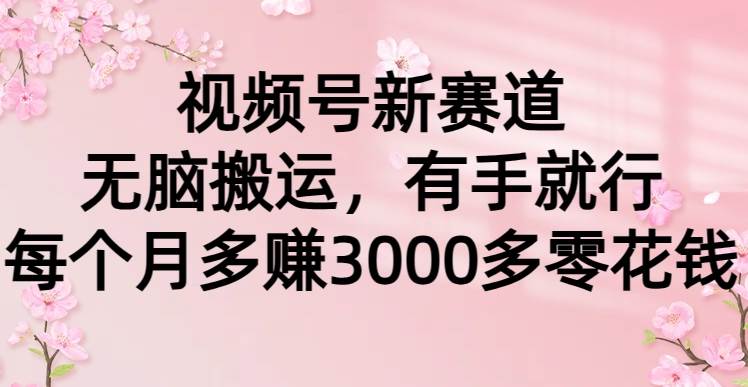 视频号新赛道，无脑搬运，有手就行，每个月多赚3000多零花钱安创网-网创项目资源站-副业项目-创业项目-搞钱项目安创网