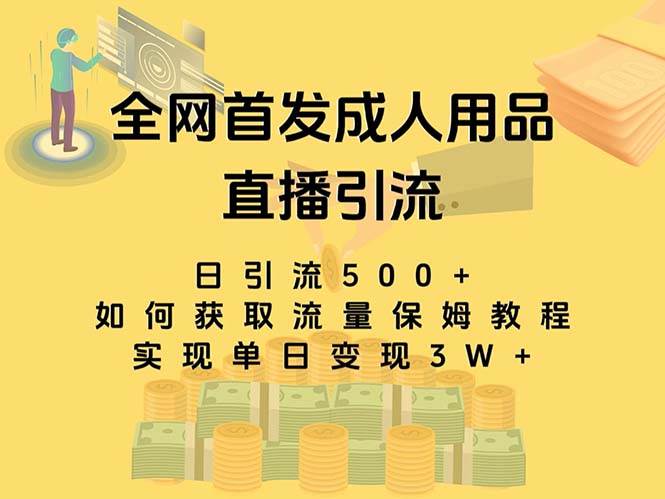 最新全网独创首发，成人用品直播引流获客暴力玩法，单日变现3w保姆级教程安创网-网创项目资源站-副业项目-创业项目-搞钱项目安创网