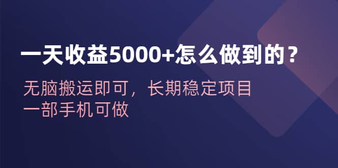 一天收益5000+怎么做到的？无脑搬运即可，长期稳定项目，一部手机可做安创网-网创项目资源站-副业项目-创业项目-搞钱项目安创网