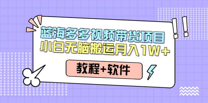 人人都能操作的蓝海多多视频带货项目 小白无脑搬运（教程+软件）安创网-网创项目资源站-副业项目-创业项目-搞钱项目安创网