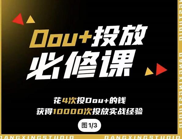 代同学DOU+投放训练营，用付费流量撬动大额自然流量，过得超额变现转化安创网-网创项目资源站-副业项目-创业项目-搞钱项目安创网