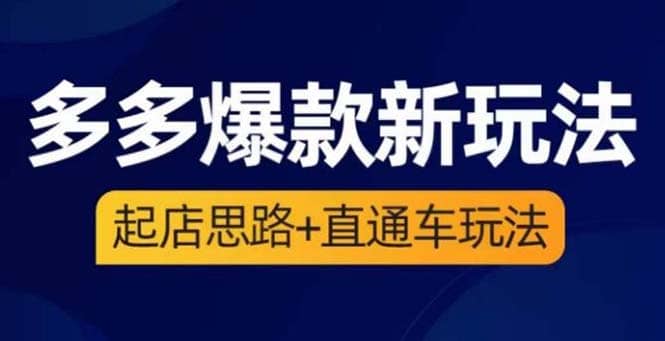 2023拼多多爆款·新玩法：起店思路+直通车玩法（3节精华课）安创网-网创项目资源站-副业项目-创业项目-搞钱项目安创网