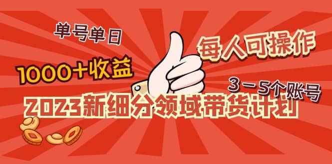 2023新细分领域带货计划：单号单日1000+收益不难，每人可操作3-5个账号安创网-网创项目资源站-副业项目-创业项目-搞钱项目安创网