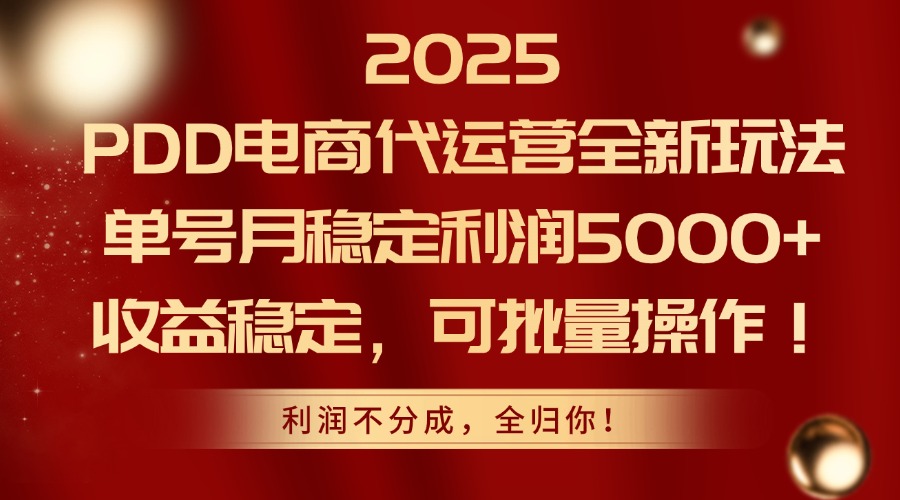 2025 PDD电商代运营全新玩法，单号月稳定利润5000+，收益稳定，可批量操作！安创网-网创项目资源站-副业项目-创业项目-搞钱项目安创网
