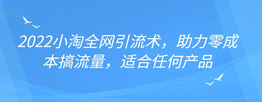 2022年小淘全网引流术，助力零成本搞流量，适合任何产品安创网-网创项目资源站-副业项目-创业项目-搞钱项目安创网