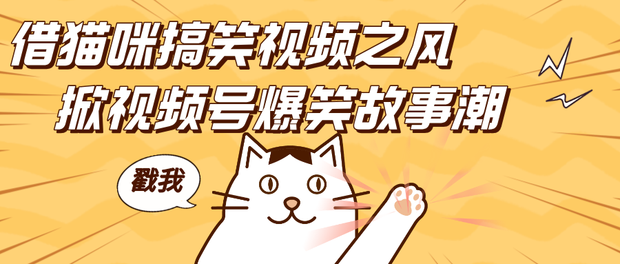 借猫咪搞笑视频之风，掀视频号爆笑故事潮，轻松日赚四位数，开启无门槛赚钱新体验！安创网-网创项目资源站-副业项目-创业项目-搞钱项目安创网