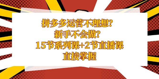 拼多多运营不理想？新手不会做？15节系列课+2节直播课，直接掌握安创网-网创项目资源站-副业项目-创业项目-搞钱项目安创网