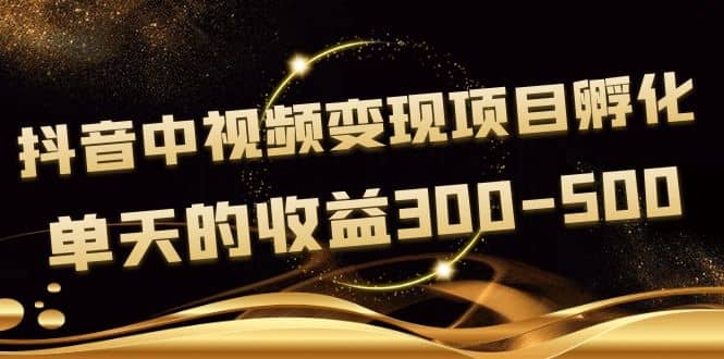 黄岛主《抖音中视频变现项目孵化》单天的收益300-500 操作简单粗暴安创网-网创项目资源站-副业项目-创业项目-搞钱项目安创网