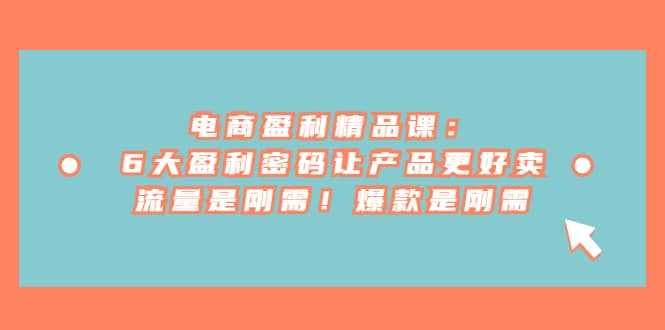 电商 盈利精品课：6大盈利 密码让产品更好卖，流量是刚需！爆款是刚需安创网-网创项目资源站-副业项目-创业项目-搞钱项目安创网