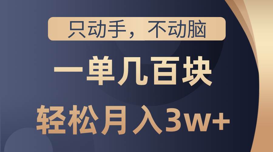 只动手不动脑，一单几百块，轻松月入3w+，看完就能直接操作，详细教程安创网-网创项目资源站-副业项目-创业项目-搞钱项目安创网