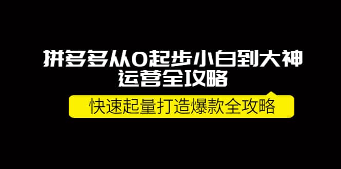 拼多多从0起步小白到大神运营全攻略安创网-网创项目资源站-副业项目-创业项目-搞钱项目安创网