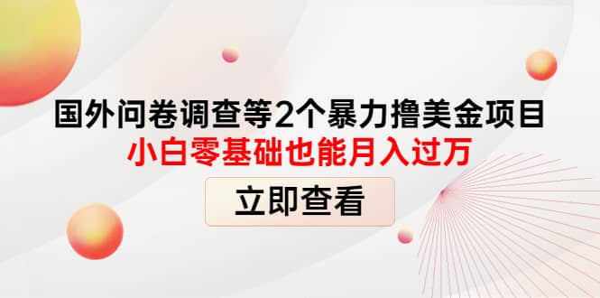 国外问卷调查等2个暴力撸美元项目，小白零基础也能月入过万安创网-网创项目资源站-副业项目-创业项目-搞钱项目安创网