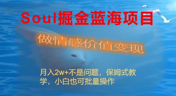 Soul掘金蓝海项目细分赛道，做情感价值变现，月入2w+不是问题安创网-网创项目资源站-副业项目-创业项目-搞钱项目安创网