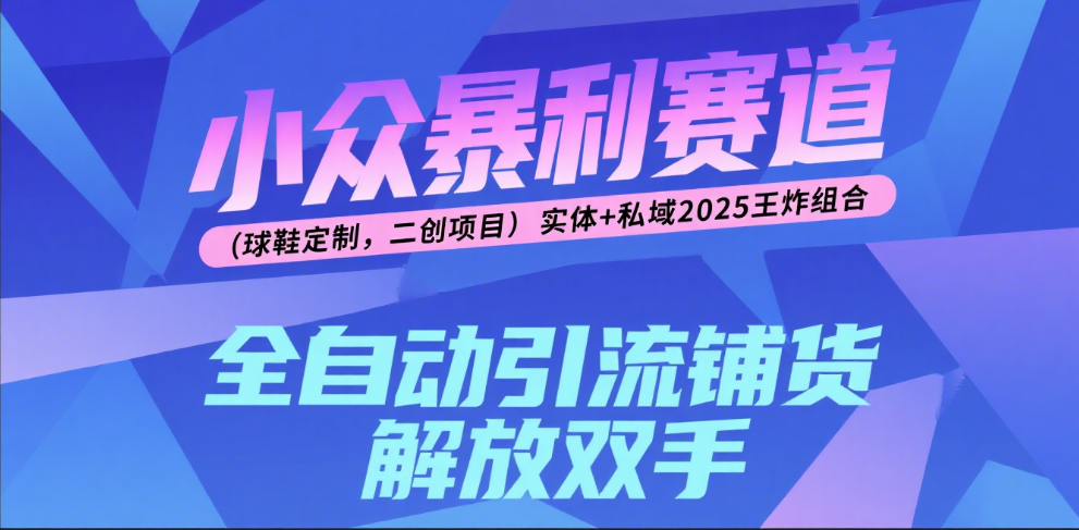楠—小众暴利赛道（球鞋定制，二创项目）实体+私域2025王炸组合安创网-网创项目资源站-副业项目-创业项目-搞钱项目安创网