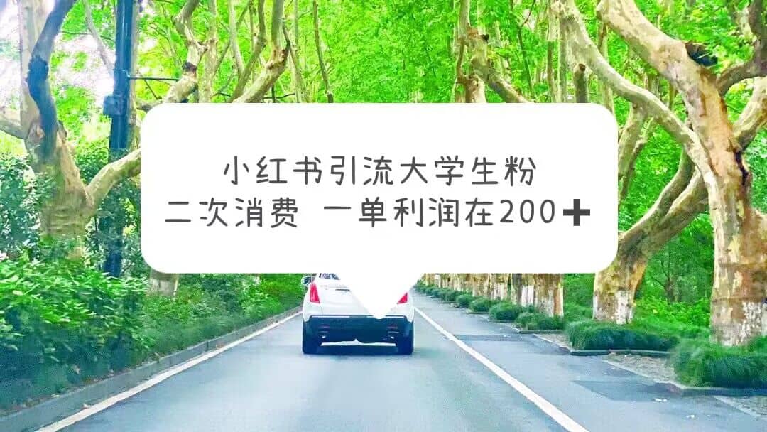 小红书引流大学生粉，变现项目，一单利润在200+（教程+资源）安创网-网创项目资源站-副业项目-创业项目-搞钱项目安创网