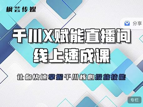 枫芸传媒-线上千川提升课，提升千川认知，提升千川投放效果安创网-网创项目资源站-副业项目-创业项目-搞钱项目安创网