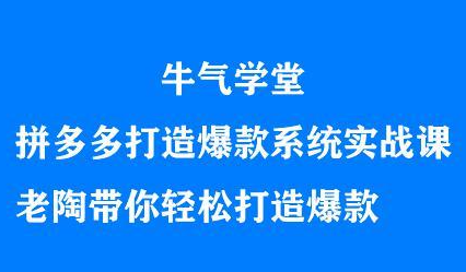 牛气学堂拼多多打造爆款系统实战课，老陶带你轻松打造爆款安创网-网创项目资源站-副业项目-创业项目-搞钱项目安创网