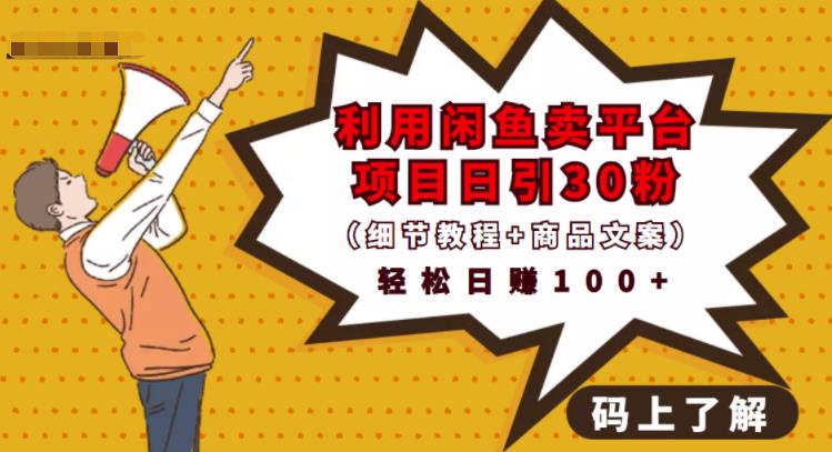 利用闲鱼卖平台项目课程资源日引流30+精准粉丝，轻松日赚100+，积累人脉可实现二次变现（细节教程+商品文案）安创网-网创项目资源站-副业项目-创业项目-搞钱项目安创网