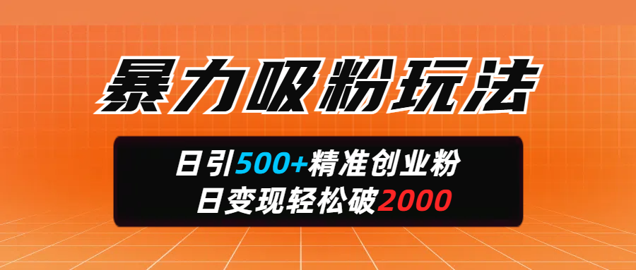 暴力吸粉玩法，日引500+精准创业粉，日变现轻松破2000安创网-网创项目资源站-副业项目-创业项目-搞钱项目安创网