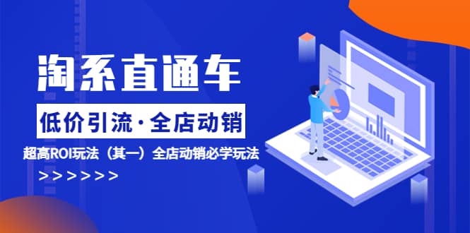 淘系直通车《低价·引流 全店·动销》超高ROI玩法（其一）全店动销必学玩法安创网-网创项目资源站-副业项目-创业项目-搞钱项目安创网