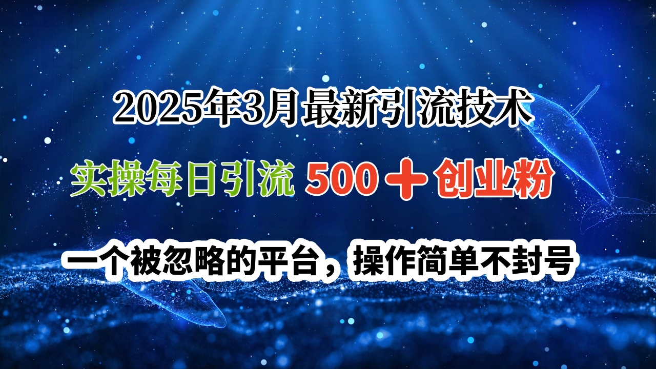 2025年3月最新引流技术，实操每日引流500➕创业粉，一个被忽略的平台，操作简单不封号安创网-网创项目资源站-副业项目-创业项目-搞钱项目安创网