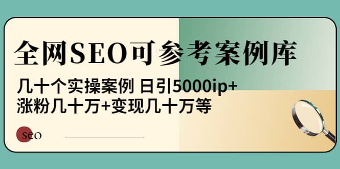 《全网SEO可参考案例库》几十个实操案例安创网-网创项目资源站-副业项目-创业项目-搞钱项目安创网