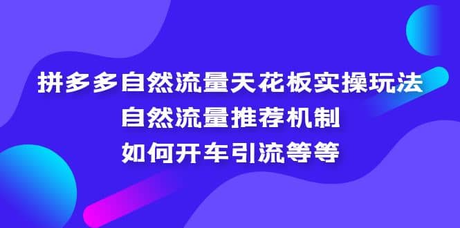 拼多多自然流量天花板实操玩法：自然流量推荐机制，如何开车引流等等安创网-网创项目资源站-副业项目-创业项目-搞钱项目安创网